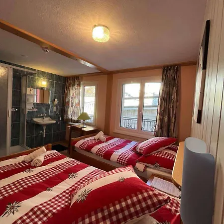 מלון Rhoneblick 3*